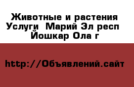 Животные и растения Услуги. Марий Эл респ.,Йошкар-Ола г.